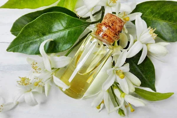 خرید عرق گل بهار نارنج + قیمت فروش استثنایی